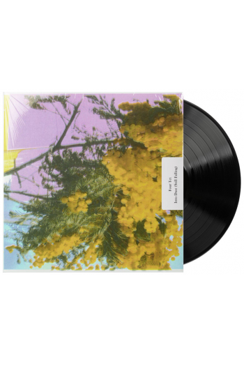 Four Tet - Into Dust LP - omot