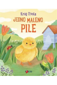 Jedno maleno pile (Slikovnica) - naslovnica