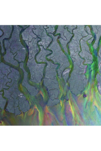 alt-J - An Awesome Wave LP - omot