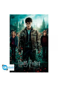 Harry Potter - Poster Deathly Hallows (91.5X61) - slika proizvoda