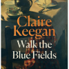 Walk The Blue Fields - naslovnica