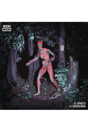 KoiKoi - O sreći u snovima LP - omot