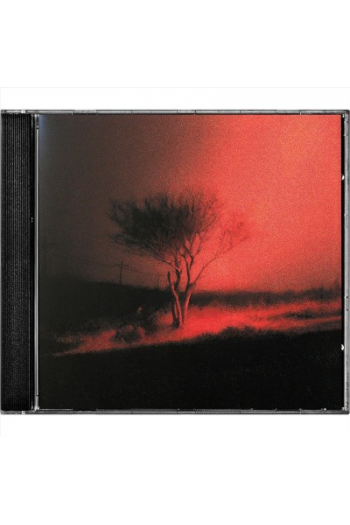 Joji - Piss In The Wind CD - omot
