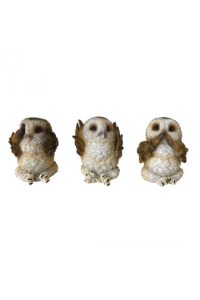 Nemesis Now Three Wise Brown Owls 7.5Cm