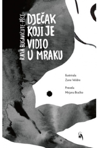 Dječka koji je vidio u mraku - naslovnica