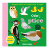 Otkrij ptice (Slikovnica) - naslovnica