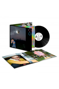 Kiss All The Time. Disco, Occasionally. (Limited Indie edition + poster)