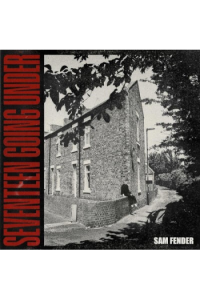 Sam Fender - Seventeen Going Under CD - omot