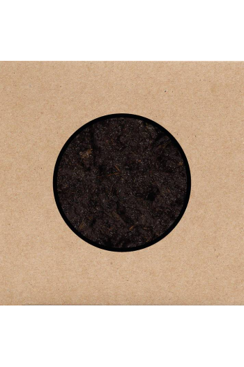 Swans - Birthing CD - omot