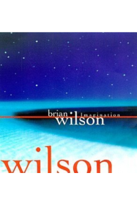 Brian Wilson - Imagination - RSD 2026 Black Vinyl edition LP - omot