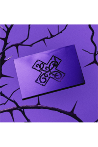 7Th Year: A Moment Of Stillness In The Thorns (TENSION Version) Cd+Book