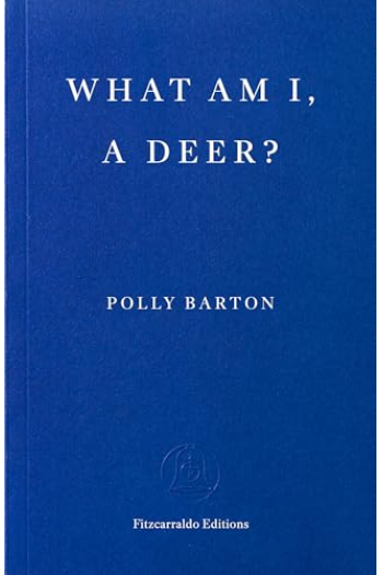 What Am I, a Deer? - naslovnica