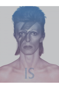 David Bowie Is: Inside the Visionary World of David Bowie - naslovnica