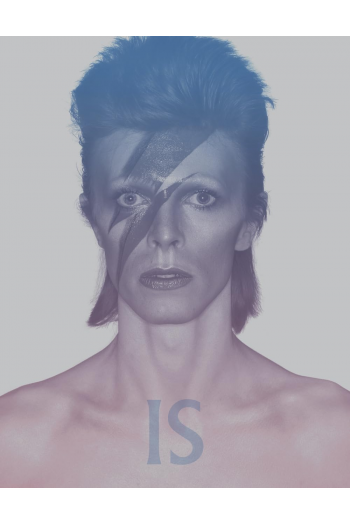 David Bowie Is: Inside the Visionary World of David Bowie - naslovnica
