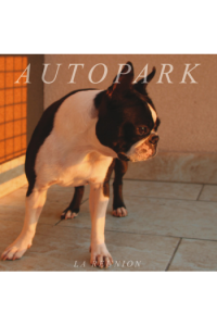 Autopark - La Reunion LP - omot