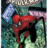 The Amazing Spider - Man Integral 1 (Strip) - naslovnica