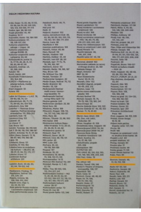 Dizajn i nezavisna kultura