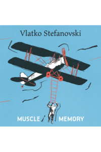 Vlatko Stefanovski - Muscle memory CD - omot