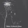 0856c048-6c89-48d4-9c2e-5794a05815ab-png.webp