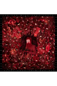 Hens Teeth CD - omot