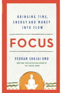 Focus: Bringing Time, Energy And Money Into Flow - naslovnica