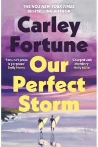 Our Perfect Storm - naslovnica