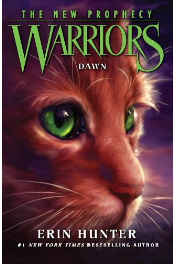 Warriors (3) Dawn - naslovnica