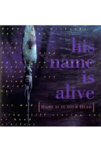 Home Is In Your Head CD - omot