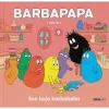 Barbapapa i obitelj 9 - Sve boje barbabeba (Slikovnica) - naslovnica