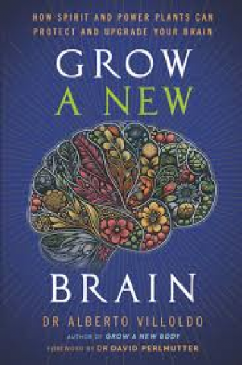 Grow A New Brain - naslovnica