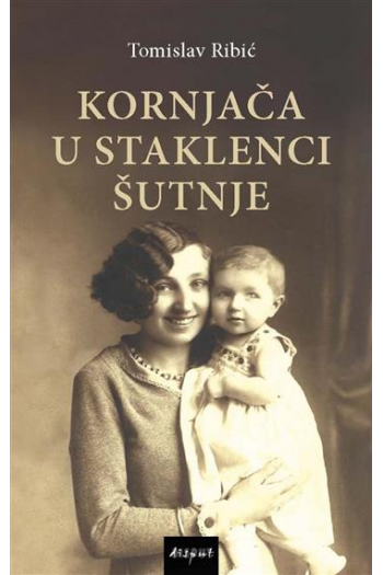 Kornjača u staklenci šutnje - naslovnica