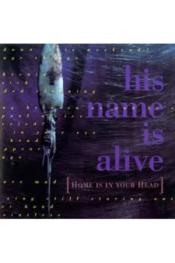 Home Is In Your Head LP - omot