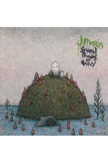 J. Mascis - Several Shades Of Why LP - omot