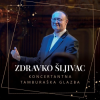 Zdravko Šljivac - Koncertantna Tamburaška Glazba LP - omot