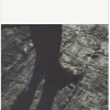 The Fall - naslovnica