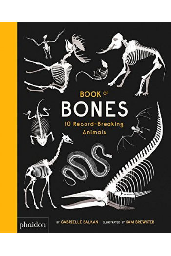 Book Of Bones - naslovnica