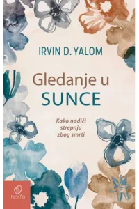 Gledanje u Sunce - naslovnica