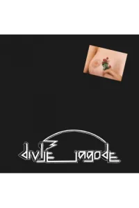 Divlje Jagode - Divlje Jagode LP - omot