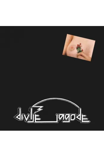 Divlje Jagode - Divlje Jagode LP - omot