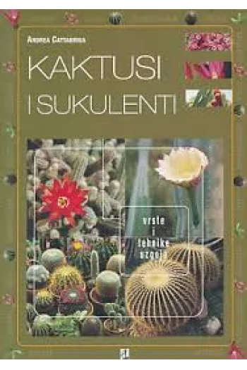 Kaktusi i sukulenti - naslovnica