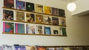 Što znače 2LP, colored vinyl, remaster i deluxe edition?