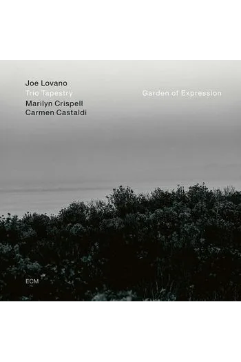 Joe Lovano, Trio Tapestry - Garden Of Expression LP - omot