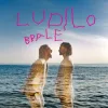 Luka Nižetić - Ludilo brale CD - omot