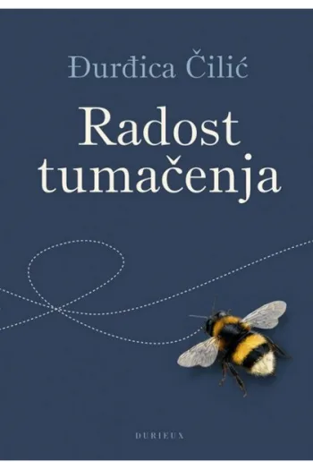 Radost tumačenja - naslovnica