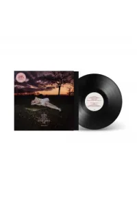 Baby Queen - I Hope You Dont Remember Me (black revinyl) LP - omot
