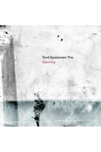Gustavsen Tord Trio - Opening LP - omot