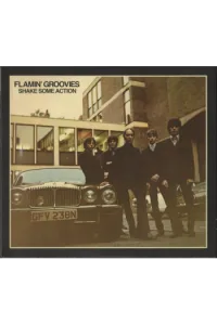 Flamin Groovies - Shake Some Action - 50th Anniversary Softpack edition CD - omot