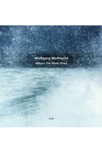 Wolfgang Muthspiel - Where The Rivers Goes LP - omot
