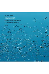 Iyer Vijay, Han Oh, Sorey - Compassion 2 LP - omot