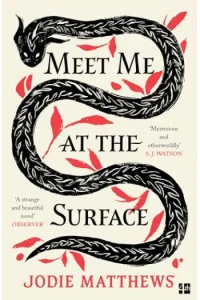 Meet Me At Surface - naslovnica